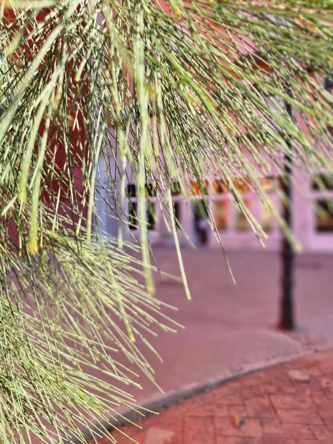 Lounge Garden Sea Relax Appartement Valencia Buitenkant foto